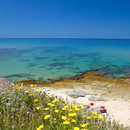 2 Bedroom Beautiful In Apartament Marina di Sorso